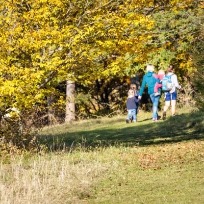 Wandertour im Herbst auf dem hochgehhütet der hochgehhütet im Großen Lautertal in Münsingen im Biosphärengebiet Schwäbische Alb. Eine Familie wandert durch den Herbstwald über eine Wiese. Die Sonne scheint.