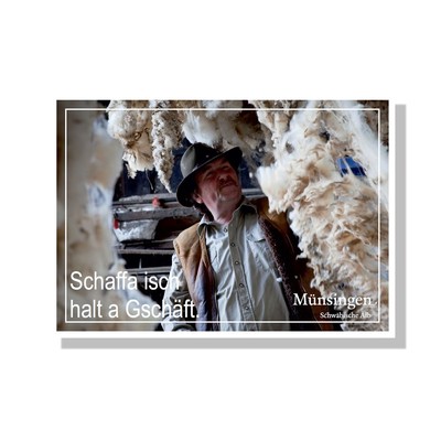 Postkarte von Münsingen im Biosphärengebiet Schwäbische Alb. Eine Person mit Hut, Hemd und Lederweste steht zwischen Schafsfellen und verzieht das Gesicht. Links unten steht der Spruch "Schaffa isch halt a Gschäft."