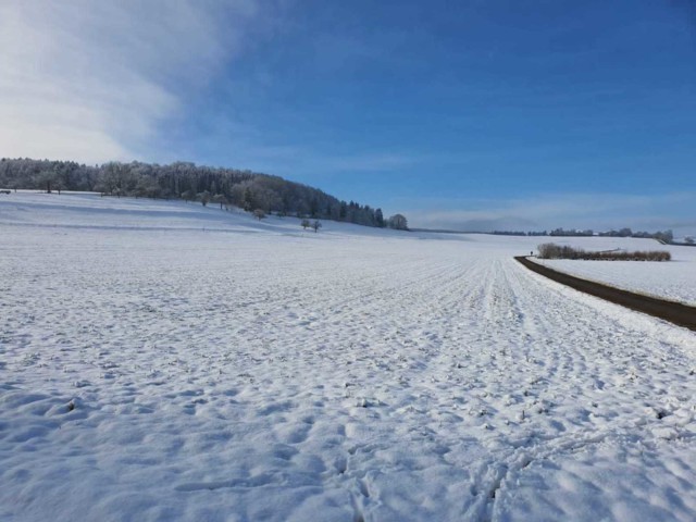 Winterwandern in Münsingen im Biosphärengebiet Schwäbische Alb. Ein Teerweg führt durch eine weite verschneite Landschaft. Am Horizont ist Wald und im Hintergrund läuft eine Person auf dem Weg.