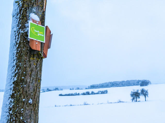 Der Wanderweg hochgehgrenzt von den hochgehbergen im Großen Lautertal in Münsingen im Biosphärengebiet Schwäbische Alb. An einem Baum hängt an der Rinde an der einen Seite Schnee, an der anderen Seite sind zwei Wegweiser. Die Schilder sind grün mit der Aufschrift hochgehgrenzt.