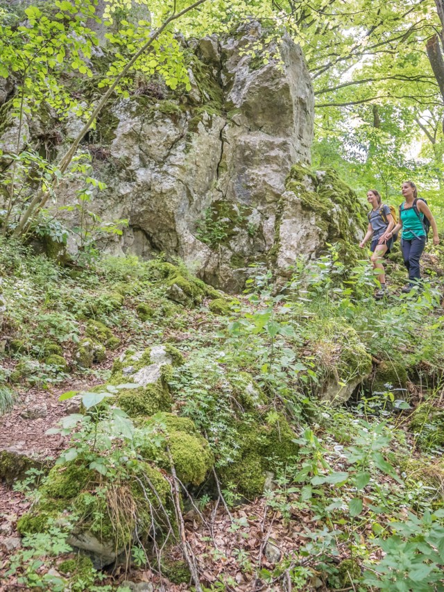 Wandern im Großen Lautertal in Münsingen im Biosphärengebiet Schwäbische Alb. Zwei Wanderer*innen laufen durch einen Wald mit moosbedeckten Felsen und Stufen.