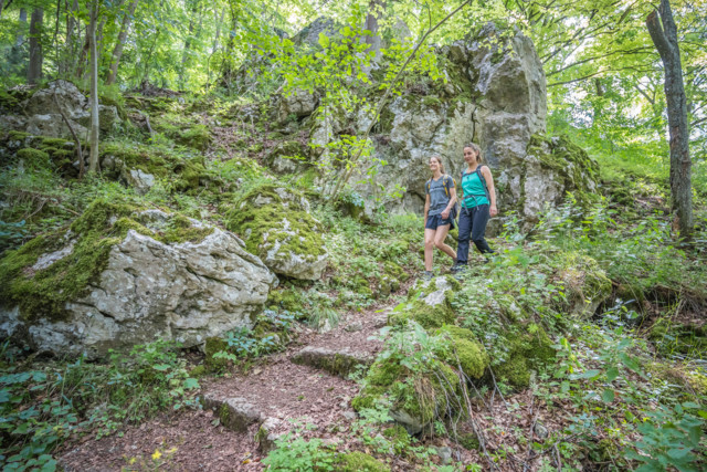 Wandern im Großen Lautertal in Münsingen im Biosphärengebiet Schwäbische Alb. Zwei Wanderer*innen laufen durch einen Wald mit moosbedeckten Felsen und Stufen.