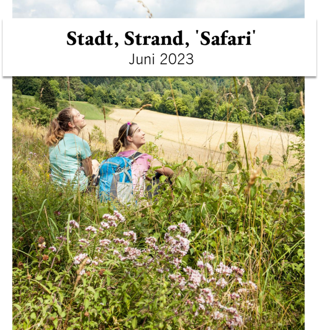 Der Newsletter im Juni von Münsingen im Biosphärengebiet Schwäbische Alb. Zwei Wanderer*innen sitzen im hohen Gras und genießen das Sommerwetter. Oben ist ein großer Schriftzug.