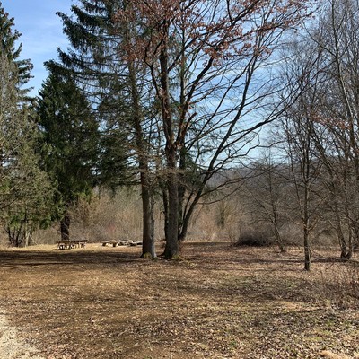 Zeltplatz Rauhes Stichle im Großen Lautertal in Münsingen im Biosphärengebiet Schwäbische Alb. Auf einer großen Fläche, die herbstlich von Blättern bedeckt ist, stehen weiter hinten mehrere Holzbänke und -tische. Ringsherum ist Wald.