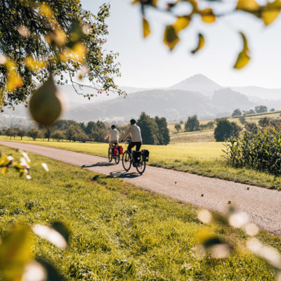 Der Schwäbische Alb Radweg führt an Münsingen im Biosphärengebiet Schwäbische Alb vorbei. Zwei Radfahrer*innen fahren auf einem Teerweg vorbei an Felder und Wiesen. Im Hintergrund ist eine neblige Hügellandschaft. Im Vordergrund sind Obstbäume.