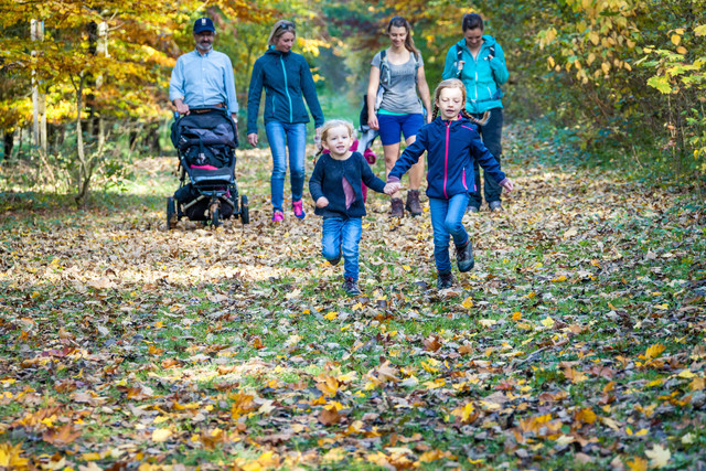Spaziergang auf dem Premiumwanderweg "hochgehhütet" von den "hochgehberge" im Herbst in Münsingen im Biosphärengebiet Schwäbische Alb. Zwei Kinder rennen Hand in Hand durch einen Herbstwald. Auf dem Boden liegen viele bunte Blätter. Dahinter kommen vier Erwachsene, einer schiebt einen Kinderwagen.