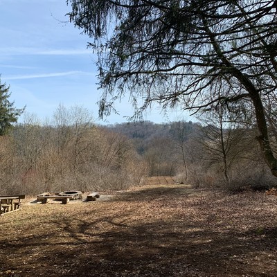 Zeltplatz Rauhes Stichle im Großen Lautertal in Münsingen im Biosphärengebiet Schwäbische Alb. Auf einer großen Fläche, die herbstlich mit Blättern bedeckt ist, stehen an der Seite mehrere Holzbänke und -tische. Ringsherum ist Wald.